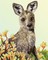 Deimantinė mozaika KANGAROO & KANGAROO PAW FLOWER 41x51