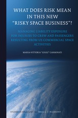 What Does Risk Mean in This New "Risky Space Business"?