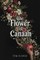 The Flower of Canaan