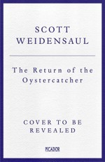 The Return of the Oystercatcher