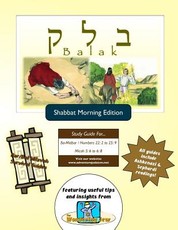 Bar/Bat Mitzvah Survival Guides