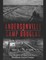 Andersonville and Camp Douglas