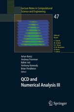 QCD and Numerical Analysis III