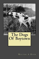 The Dogs Of Boytown