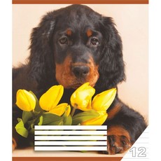 Sąsiuvinis linijomis, 12 lapų