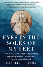 Eyes in the Soles of My Feet