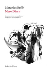 Mere Diary