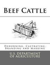 Beef Cattle