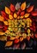 Best of Autumn Coloring Book for Adults