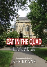 Cat in the Quad
