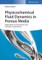 Physicochemical Fluid Dynamics in Porous Media