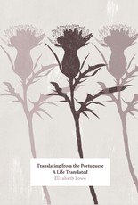 Translating from the Portuguese