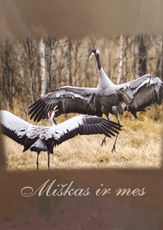 Miškas ir mes (2013)