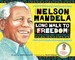 Van Wyk, C: Long Walk to Freedom