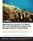 IBM Rational ClearCase 7.0: Master the Tools That Monitor, Analyze, and Manage Software Configurations