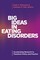Big Ideas in Eating Disorders