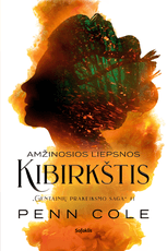 Amžinosios Liepsnos kibirkštis (knyga su defektais)
