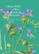 Chinese Wild Plants in Botanical Illustration 1