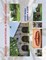 McAllen Architecture