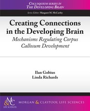 Creating Connections in the Developing Brain