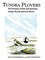 Tundra Plovers