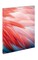 Flamingo Feathers