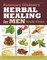 Rosemary Gladstar's Herbal Healing for Men