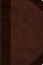 ESV Personal Reference Bible (Trutone, Brown/Walnut, Portfolio Design)
