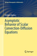 Asymptotic Behavior of Scalar Convection-Diffusion Equations