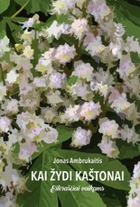 Kai žydi kaštonai Kai žydi kaštonai