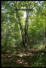 Off the Beaten Path