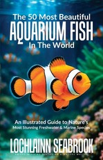 The 50 Most Beautiful Aquarium Fish in the World