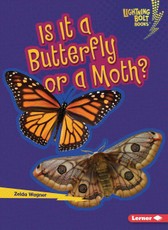 Is It a Butterfly or a Moth?