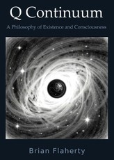 Q Continuum