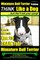 Miniature Bull Terrier Training - Think Like a Dog, But Don?t Eat Your Poop!