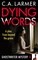 Dying Words (Ghostwriter Mystery 4)