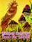 Animal Coloring Book For Adults