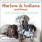 Harlow & Indiana (and Reese)