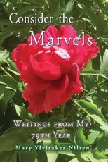 Consider the Marvels