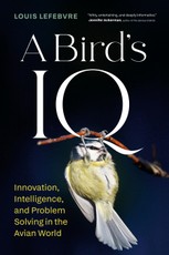 A Bird's IQ
