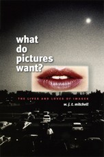 What Do Pictures Want?