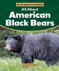 All about American Black Bears