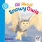 All about Snowy Owls