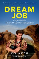Dream Job