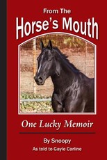 From the Horse's Mouth