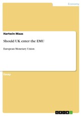 Should UK enter the EMU