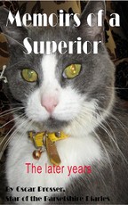 Memoirs of a Superior