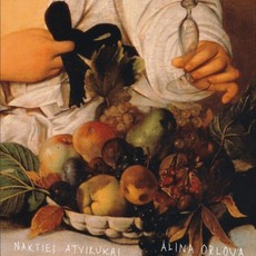 Vinilinė plokštelė LP ALINA ORLOVA „Nakties atvirukai“ (LP)