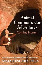 Animal Communicator Adventures