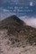 The Heart of Biblical Theology
